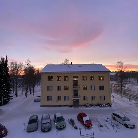 Wild About Lapland Rovaniemi