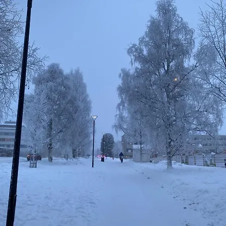 מלון Wild About Lapland *