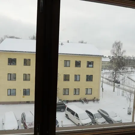 Wild About Lapland *