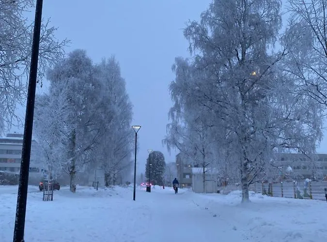 Hotel Wild About Lapland *